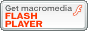 Get Adobe Flash player